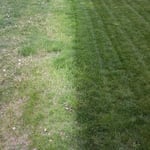 Grass is Always Greener on Our Side of the Fence