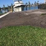 SOD SERVICE