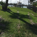SOD SERVICE