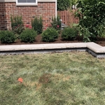 front yard renovation