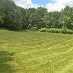 Mowing