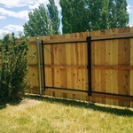 Inside of the wood fence