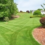 Lawn Service