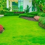 Lawn care