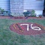 Flowers & Stones