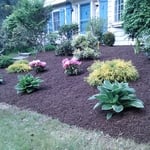 Mulch & Plants