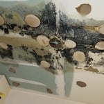 Shower side of wall