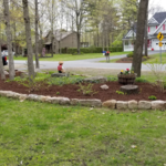 Front Yard Landscape