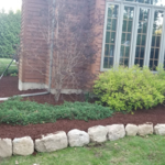 Front Yard Landscape
