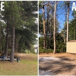 Before & After
