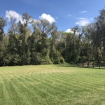 Pasture mowing