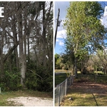Residential clearing