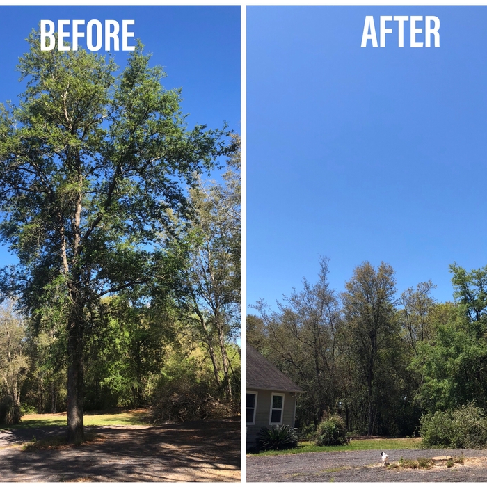 Before And After