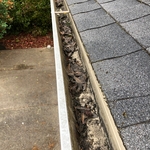 Gutter Cleaning