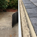 Gutter Cleaning AFTER