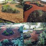 Low water use landscape