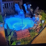 Small pond with led lighting