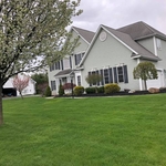 Fresh mulch topping and mowed lawn