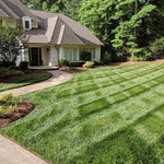 Pine Needles and Fresh Cut stripes