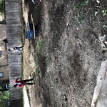 Downtown sod installation