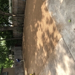 Downtown sod installation