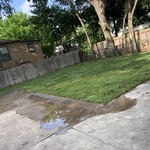Downtown sod installation