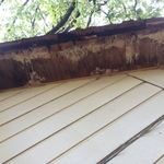 Rotten Decking