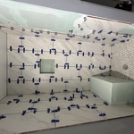 Fremont basement bath