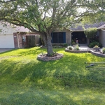 Spring Cleanup