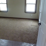 carpet