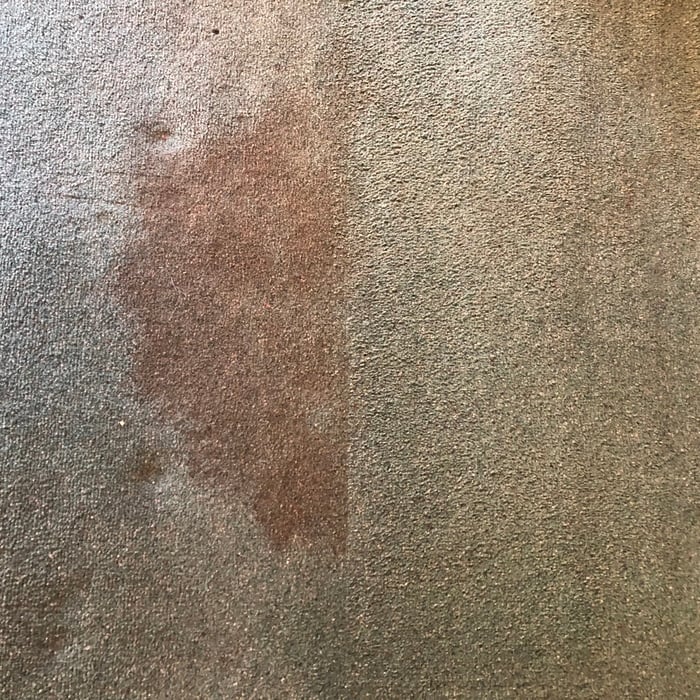 carpet cleaning