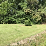 Lawn Mowing in Ayden NC