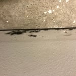 Mold growth on drywall