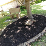 New mulch