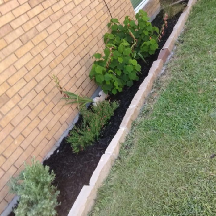 New flower bed