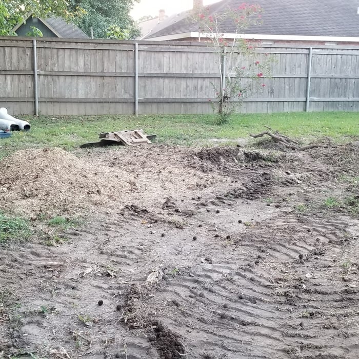 Backyard - Before