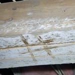 Crawl Space Mold