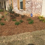 Variety of Plants