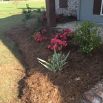 Colorful Landscaping