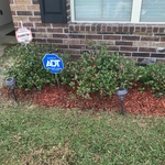 Flower Beds