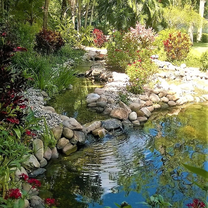 Lower Streams and Mini Falls Into Lower Pond