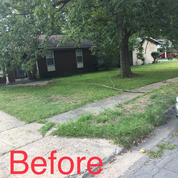 Branch removal