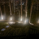 Backyard Stepping Stones