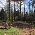 land clearing