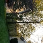 Tree removed
