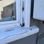 Original Damage