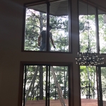 Window Cleaning