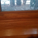 Mold Restore