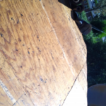 Tear Off Shingles