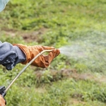Weed Killing